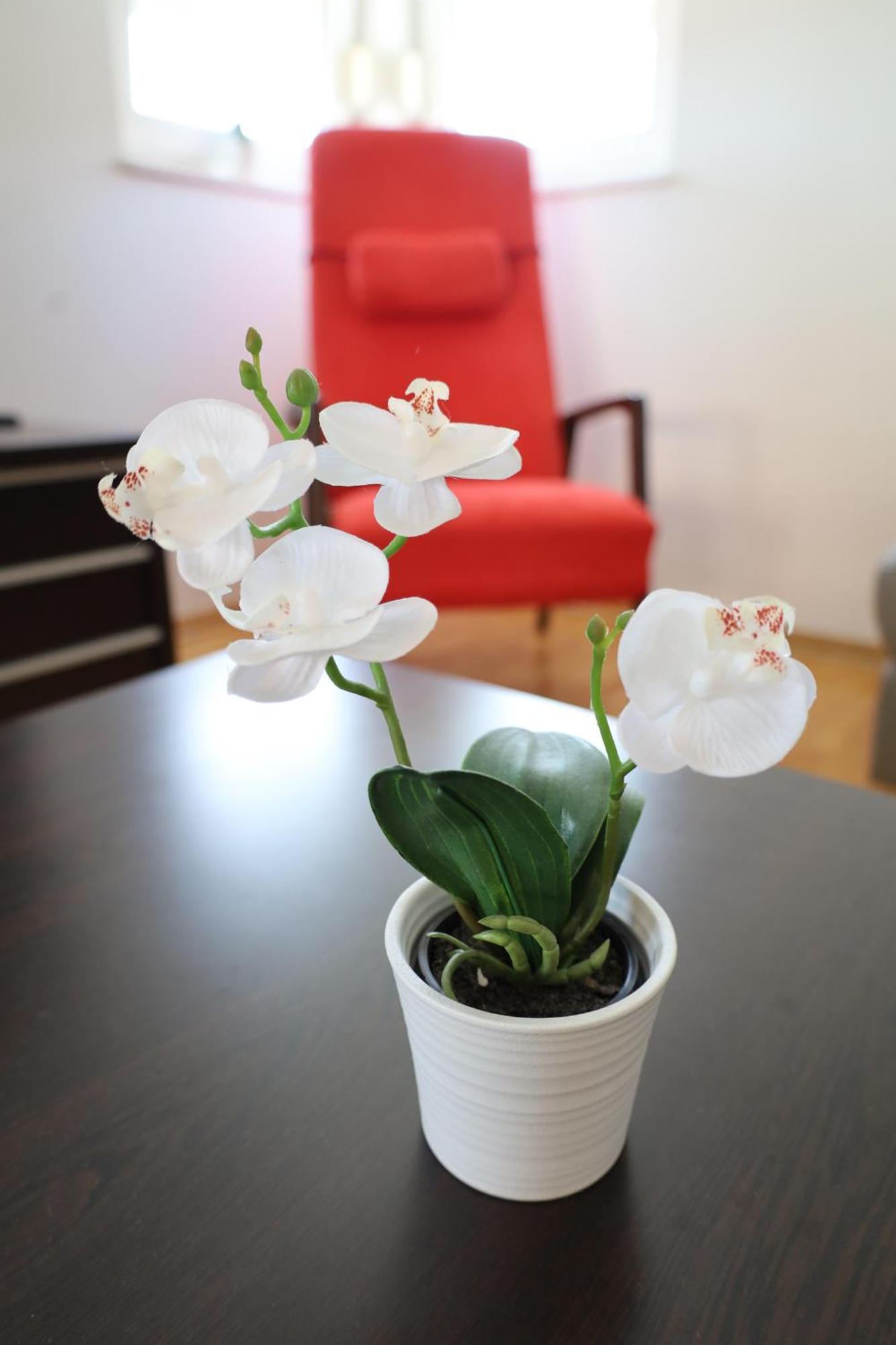 Franco Apartman *